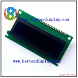 LCM LCD Panel LCD Display Va Monitor Customized Va LCD Screen