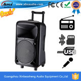 Guangzhou Factory Portable Active Trolley Speaker with Bluetooth