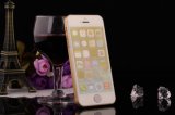 Wholesale Tempered Glass Screen Protector for iPhone 5s, Colorful