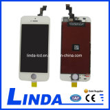 Mobile Phone LCD for iPhone 5s Replacement