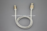 High Quality Private Model USB Data Cable for iPhone5/5s (CA-UL-019)