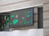 Outdoor Advertising LED Display (True Color)