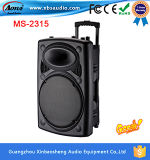 15 Inch Speaker Box/ Amplifier with Speaker with FM/USB/SD