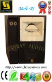 Sanway R1 Sound System 12 Inch Subwoofer Loudspeaker Box