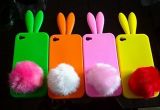Silicone Case for iPhone (RCX-NZ-SP-01)