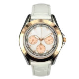 Custom Fashion Luxury Lady Waterproof Wrist Watch Lw-12c