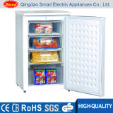 Free Standing Freezer Refrigerator (BD-100L)