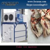 Flake Ice Maker for Africa