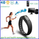 Health Management Platform Smart Wristband Pedometer