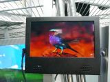 10inch Store Digital LCD Advertising Display with Motion Sensor