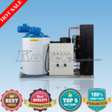 Hot Sales1ton/Day Flake Ice Machine with Ice Storage Bin