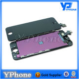 Glass Screen LCD for iPhone 5 Color Replacement