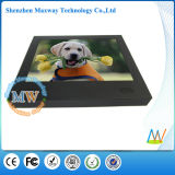 HD 12 Inch LCD Advertising Player with Motion Sensor (MW-123AAS)