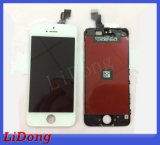 Hot Selling Smartphone LCD Display for iPhone 5c
