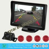 4.3inch Car Rear View Camera Parking Sensor System Xy-8438