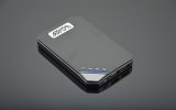 2013 Best Selling Power Bank with High Quality (PW-06)