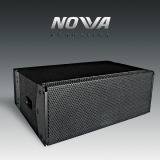 Double 10 Inch Compactive Line Array (CA-0010)