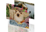 A4 Blank Sublimation Hard Puzzle with High Quality