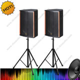 Ds-1350 12 Inch Professional Loudspeaker with Amplifer