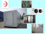 Complete Set of Refrigerator for Cooling/Freezing
