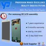 Yphone S5 Display