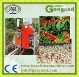 Electricity Type Green Coffee Bean Processing Machine