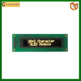 COB Graphic 9X01 LCD Display