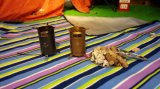 Fuel-Multi Camping Stove Without Gas