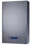 Flue Pipe Gas Water Heater with LED Display and Brushed Stainless Steel Housing