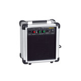 Portable Acoustic Guitar Amplifier (GM-210)