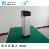 48V Electric Bicycle Battery (LC-S02)