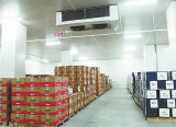 High Quality Food Cold Storage Room, Cold Storage Room for Meat