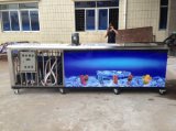 Ice Lolly Production Line/Batch Freezer/Stainless Steel Ice Cream Maker 24000PCS/Day