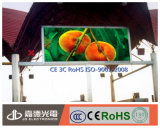 Full Color X Advertisng LED Display