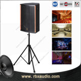 Ds-1560 Professional Wooden DJ Karaoke Box Speakers 15 Inch