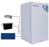 12V Solar DC Refrigerator /Compressor Refrigerator /Solar Fridge Freezer