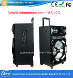 High Quality 100W Trolley Active Speaker