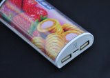 Dual Output Sucker Mobile Phone Charger 5200mAh with Full Capacity