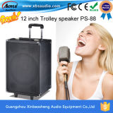12 Inch Portable Speaker with USB Port