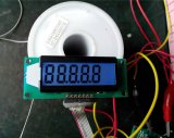 5 Digit Numbers LCD Display with Blue Backlight (SMS 0501E3)