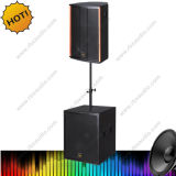 Ds-118b Powerful Professional Speaker with Aluminum Frame