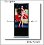 55 Inch Self-Standing LCD TV/Digital Display/Ad Media Player