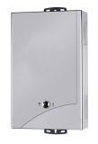 Gas Water Heater with Stainless Steel Panel (JSD-C61)