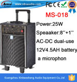 Active Speaker 8 Inch Audio Speaker with USB/SD/Microphone
