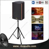 Rt-6130 Professional DJ Potable Digital PRO Audio Speakers