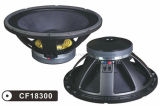 500W 220mm Magnet Disco Speaker Dashayu CF18300