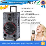 Output Power 110W Outdoor Big Party Trolley Speaker
