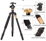 Q999 Hot Sell Professional Tripod for Digital Camera, with Panoramic Ball Head