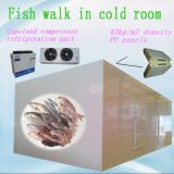 Fish Walk in Cold Room with -25 Degrees C