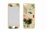 Colorful Screen Protector for iPhone5-W (DIS507)